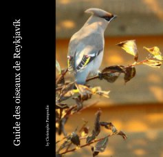 Guide des oiseaux de Reykjavík book cover