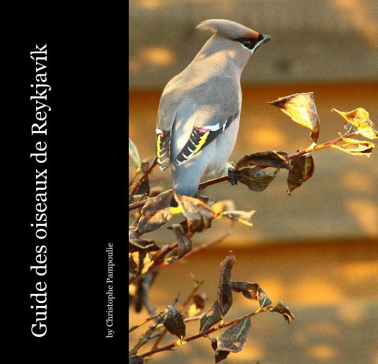 Guide des oiseaux de Reykjavík nach Christophe Pampoulie anzeigen
