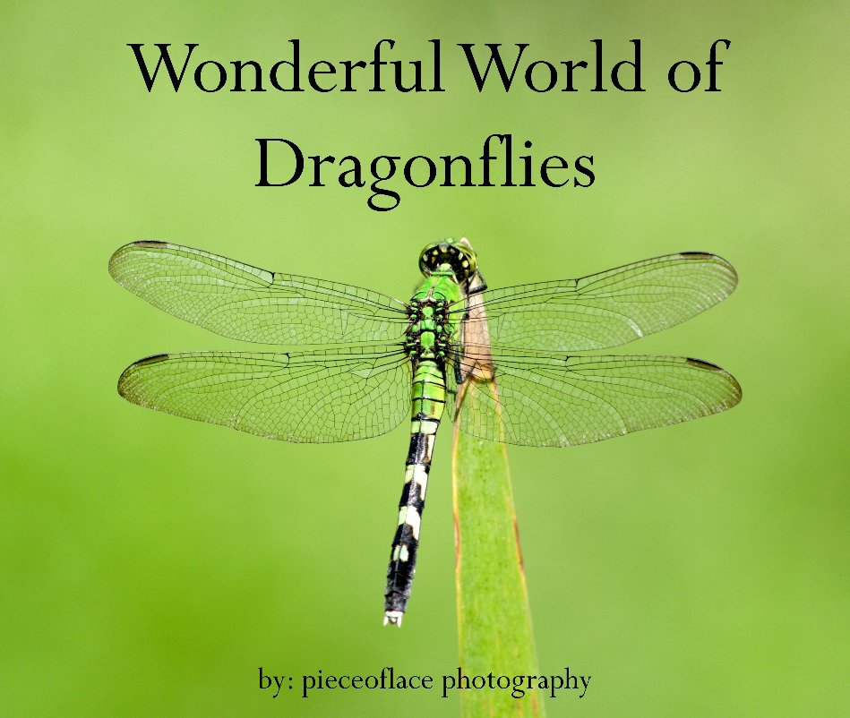 Bekijk Wonderful World of Dragonflies op pieceoflace photography