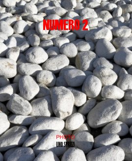 NUMERO 2 book cover