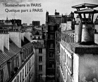 Somewhere in Paris (Hardcover) book cover