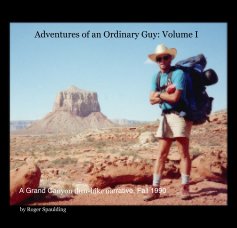Adventures of an Ordinary Guy: Volume I book cover
