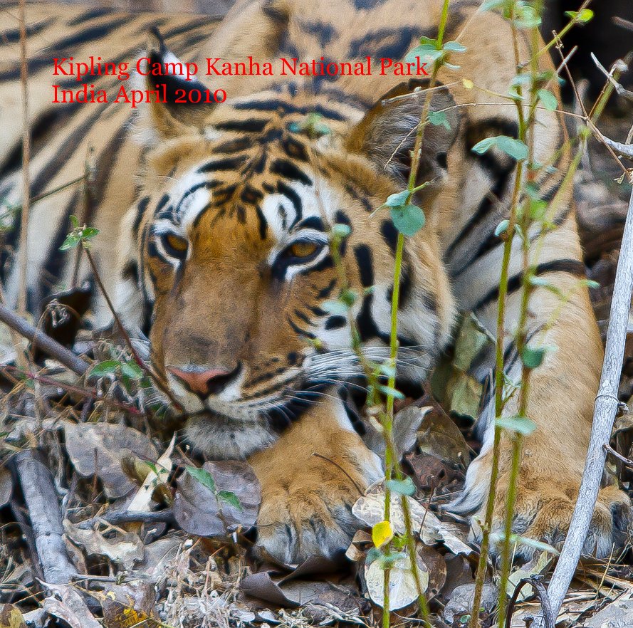 View Kipling Camp Kanha National Park India April 2010 by aspltd