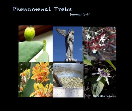 Phenomenal Treks Summer 2010 book cover