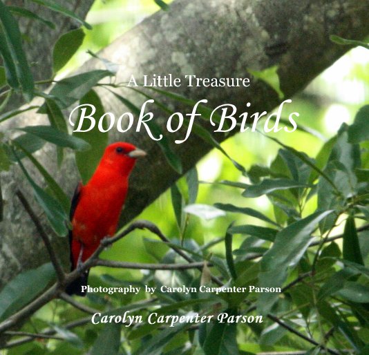 View A Little Treasure Book of Birds by Carolyn Carpenter Parson