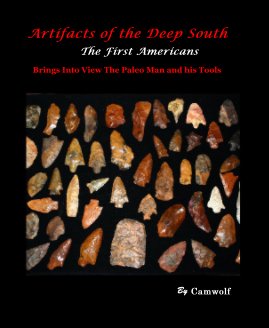 Artifacts of the Deep South The First Americans book cover