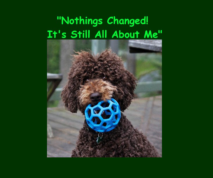 View "Nothings Changed! It's Still All About Me" by Banjo Innes