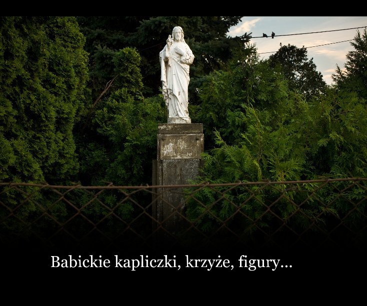 View Babickie kapliczki, krzyże, figury... by Jarek Jaworski