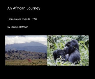 An African Journey book cover