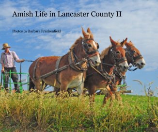 Amish Life in Lancaster County II book cover