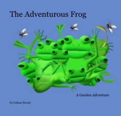 The Adventurous Frog book cover