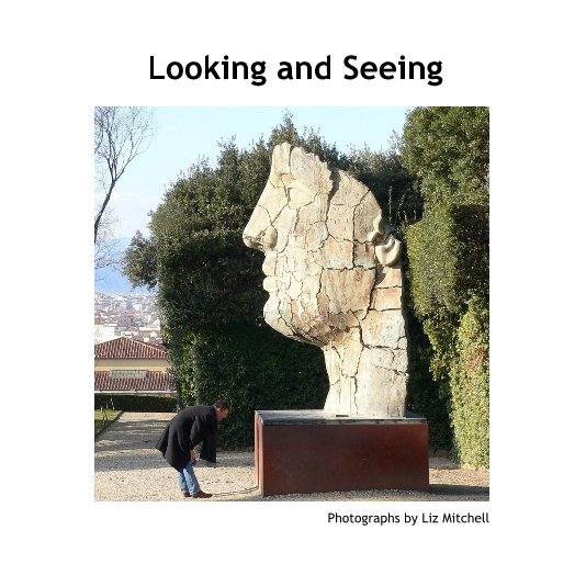 View Looking and Seeing by Photographs by Liz Mitchell