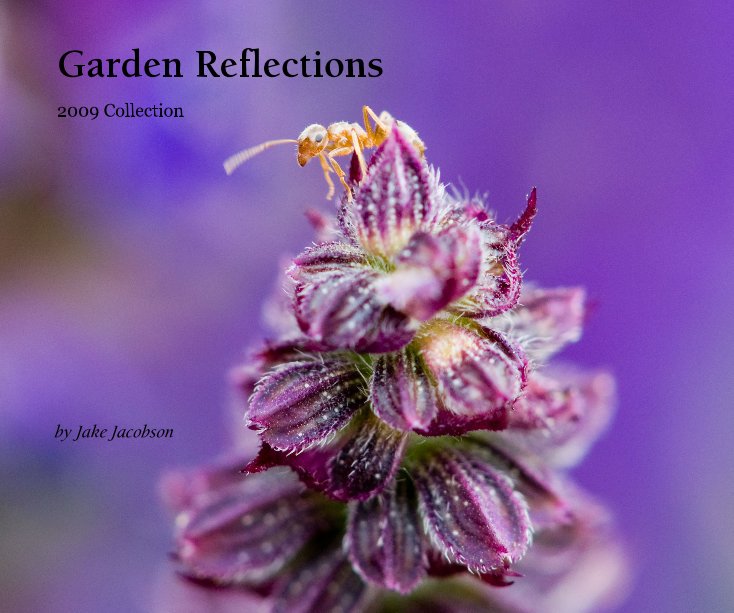 View Garden Reflections: Collection 2009 by Jake Jacobson