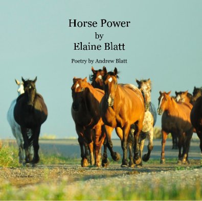 Horse Power by Elaine Blatt Poetry by Andrew Blatt book cover