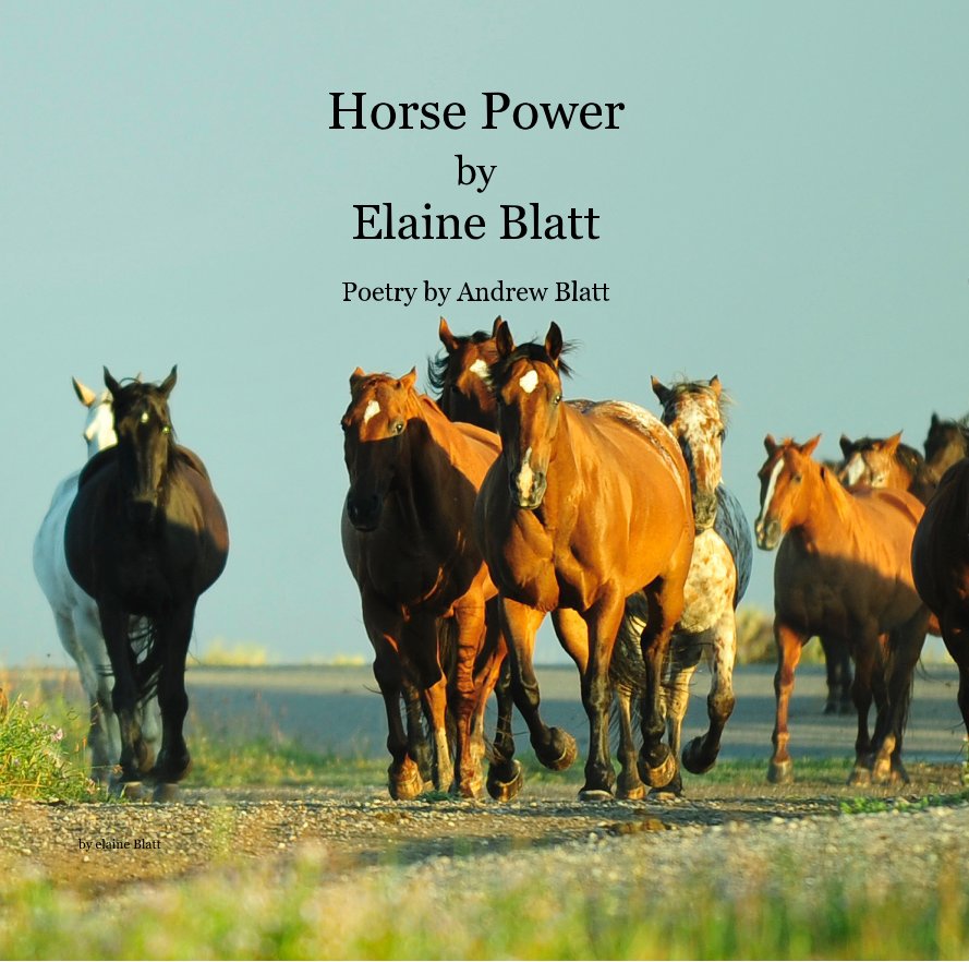 Ver Horse Power by Elaine Blatt Poetry by Andrew Blatt por elaine Blatt