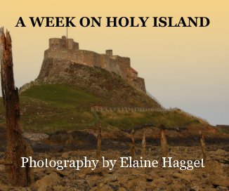 A WEEK ON HOLY ISLAND book cover