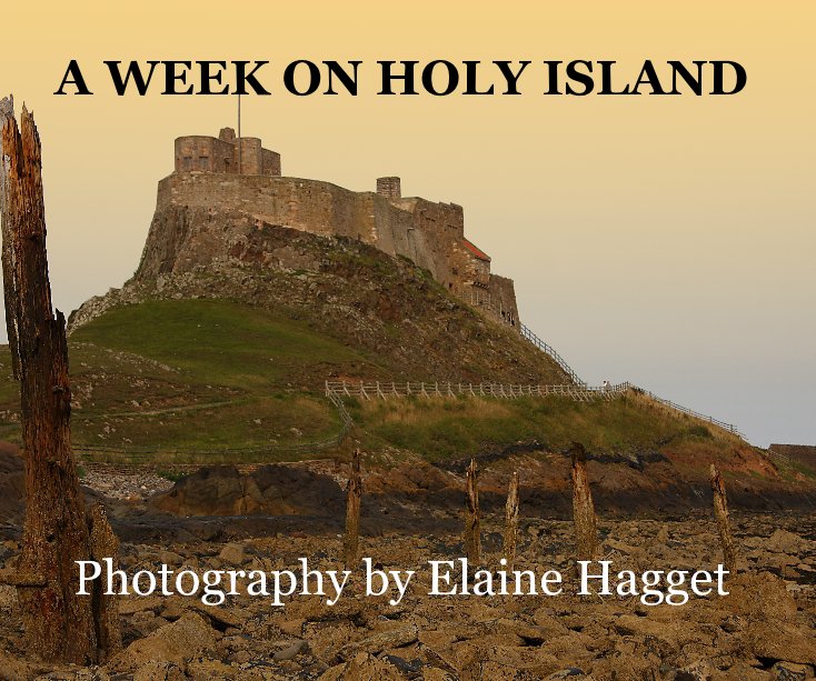 View A WEEK ON HOLY ISLAND by Elaine Hagget