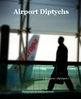 Airport Diptychs book cover