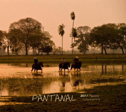 Pantanal - 2011 Planner book cover