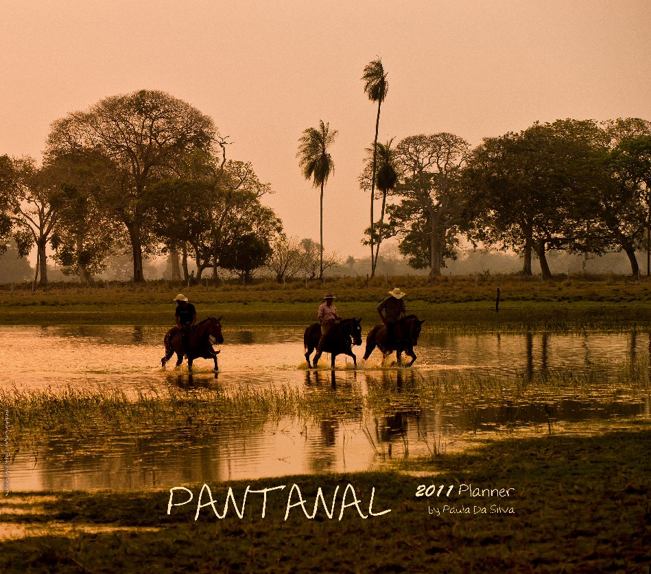 View Pantanal - 2011 Planner by Paula Da Silva