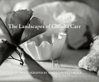 The Landscapes of Claudia Carr book cover