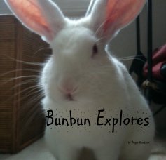 Bunbun Explores book cover
