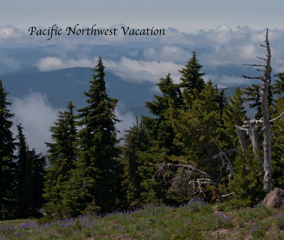 View Pacific Northwest by Dorothy Littell Greco