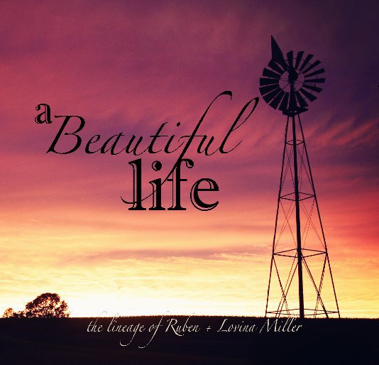 View A Beautiful Life by compiled by emily crall