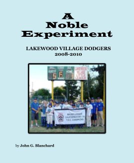 A Noble Experiment book cover