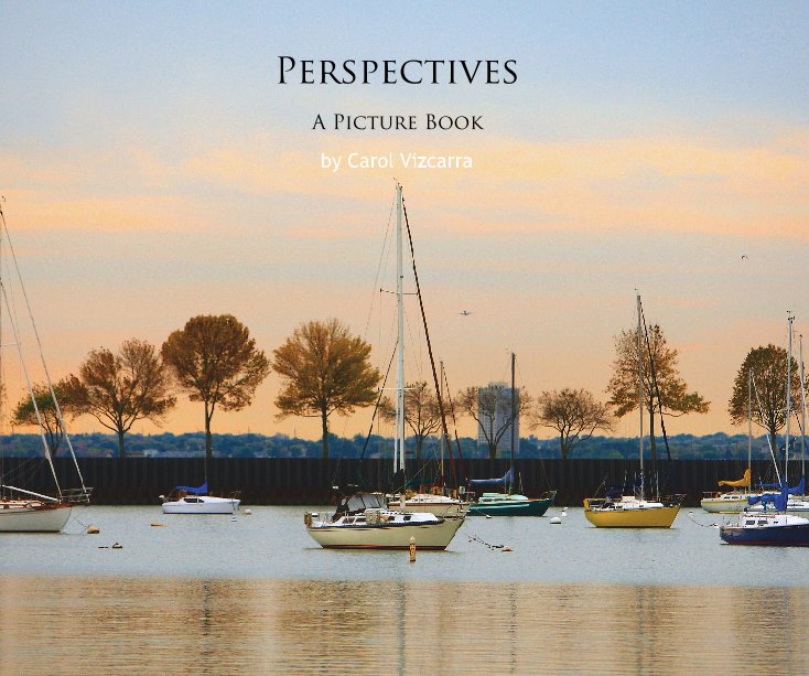 Ver Perspectives por Carol Vizcarra