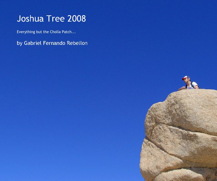 View Joshua Tree 2008 by Gabriel Fernando Rebellon