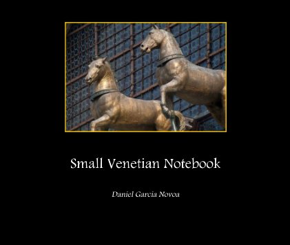 Small Venetian Notebook book cover