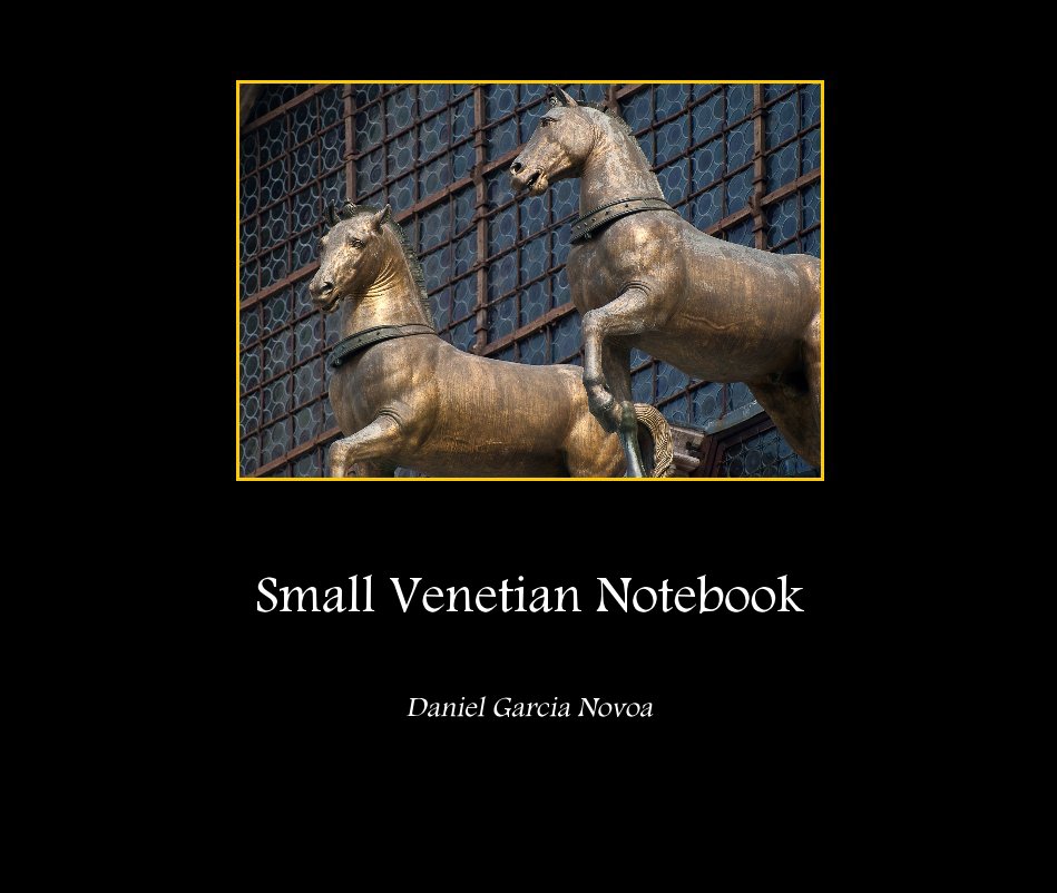 View Small Venetian Notebook by Daniel Garcia Novoa