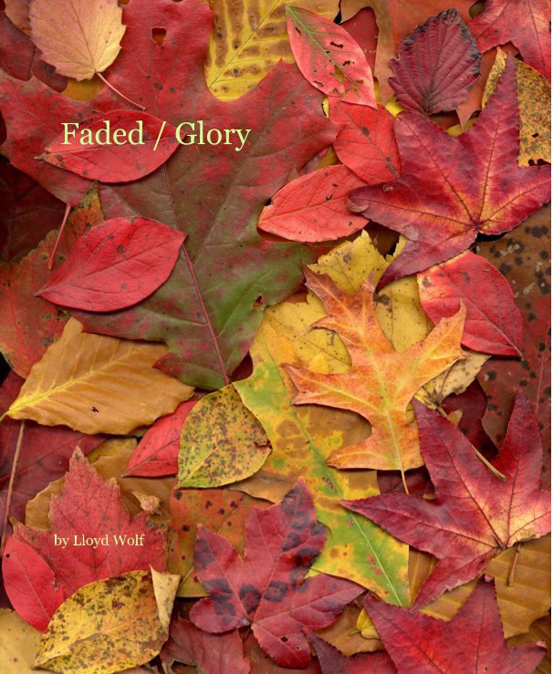 View Faded / Glory by Lloyd Wolf