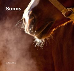 Sunny book cover