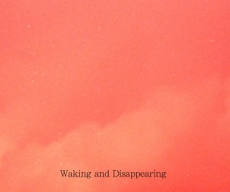 Waking and Disappearing book cover