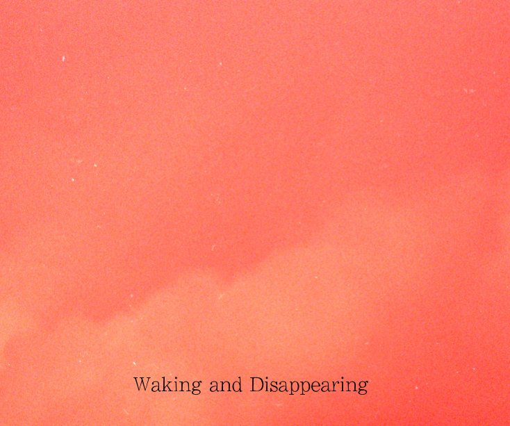 Ver Waking and Disappearing por angelamarise
