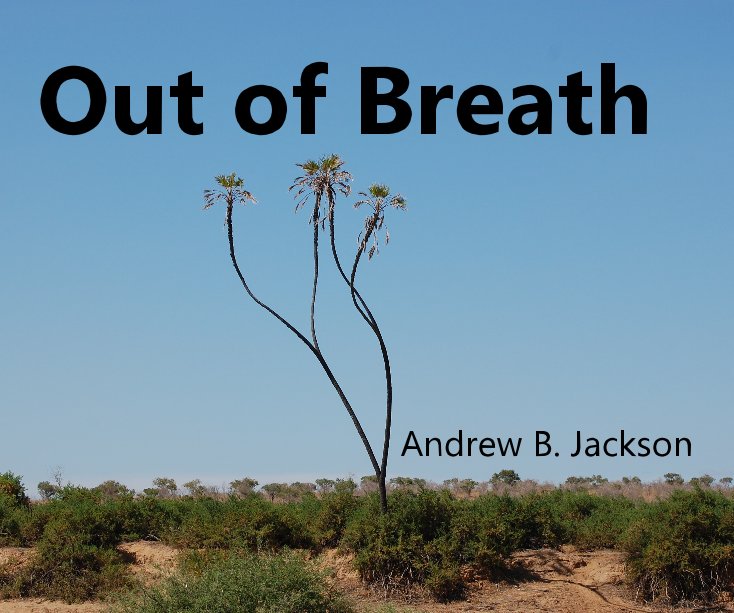 View Out of Breath by Andrew Jackson