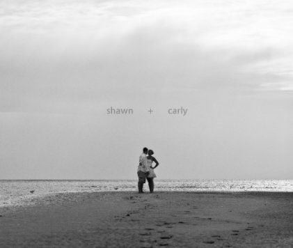 Shawn and Carly Version2 book cover