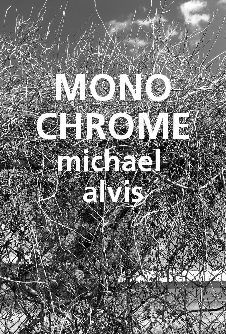Visualizza MONOCHROME di MICHAEL ALVIS