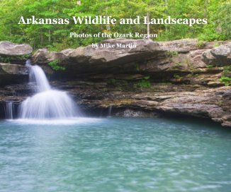 Arkansas Wildlife and Landscapes book cover