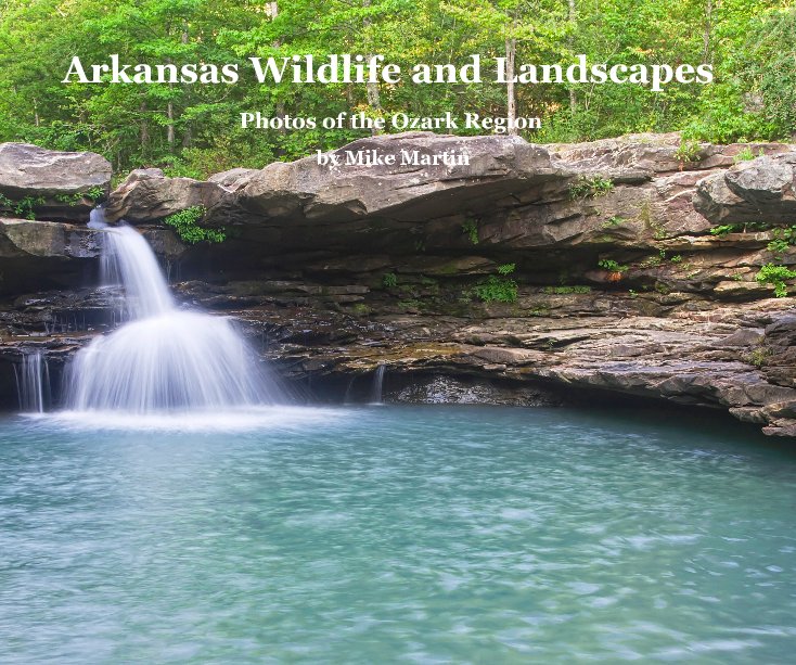View Arkansas Wildlife and Landscapes by Mike Martin