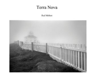 Terra Nova book cover