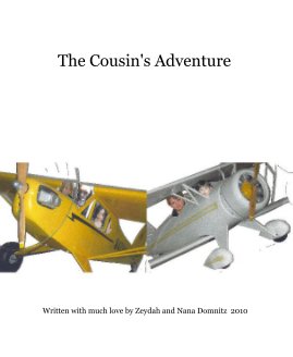The Cousin's Adventure book cover