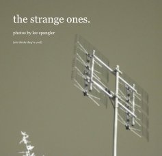 The Strange Ones book cover