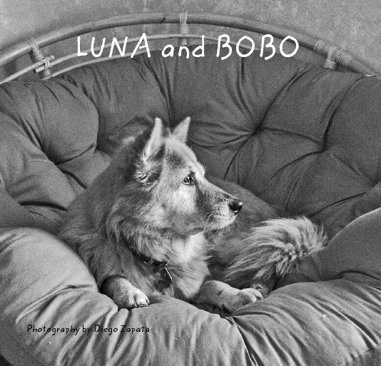 View LUNA and BOBO by Photography by Diego Zapata
