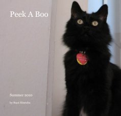 Peek A Boo book cover