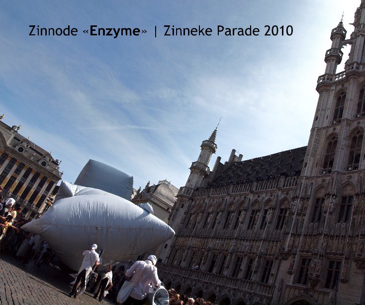 View Zinnode « Enzyme » by Lieven SOETE