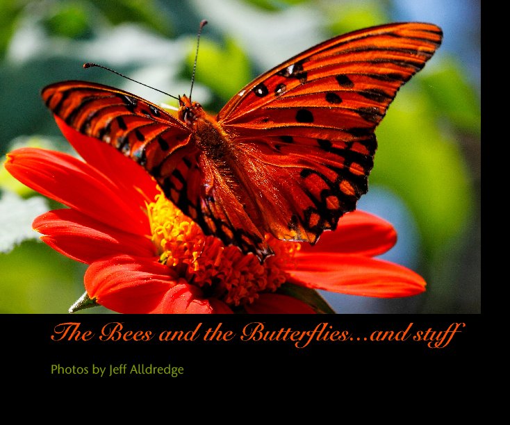 Ver The Bees and the Butterflies...and stuff por Photos by Jeff Alldredge
