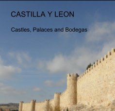 CASTILLA Y LEON book cover